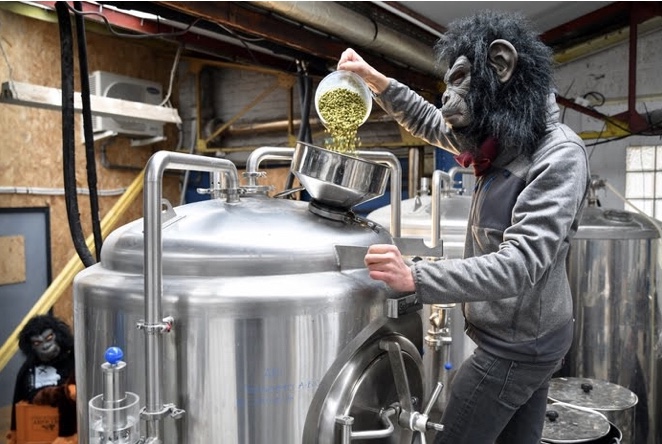 equip_core's tweet image. Cela fait toujours plaisir de voir nos clients  @singesavantbrew, s'exercer et développer de nouvelles recettes avec leur nouveau fermenteur vendu par Core. Nous avons hâte de venir gouter ces futurs chefs-d'œuvre ! #bière #fermenteurs #bièrefrançaise #brasseurs