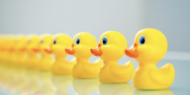 With winter well and truly here, have you got all your ducks 🦆 in a row with your winter maintenance plans? #Roofing #guttering #drainage #outdoorlighting #preventative #maintenance #winterready