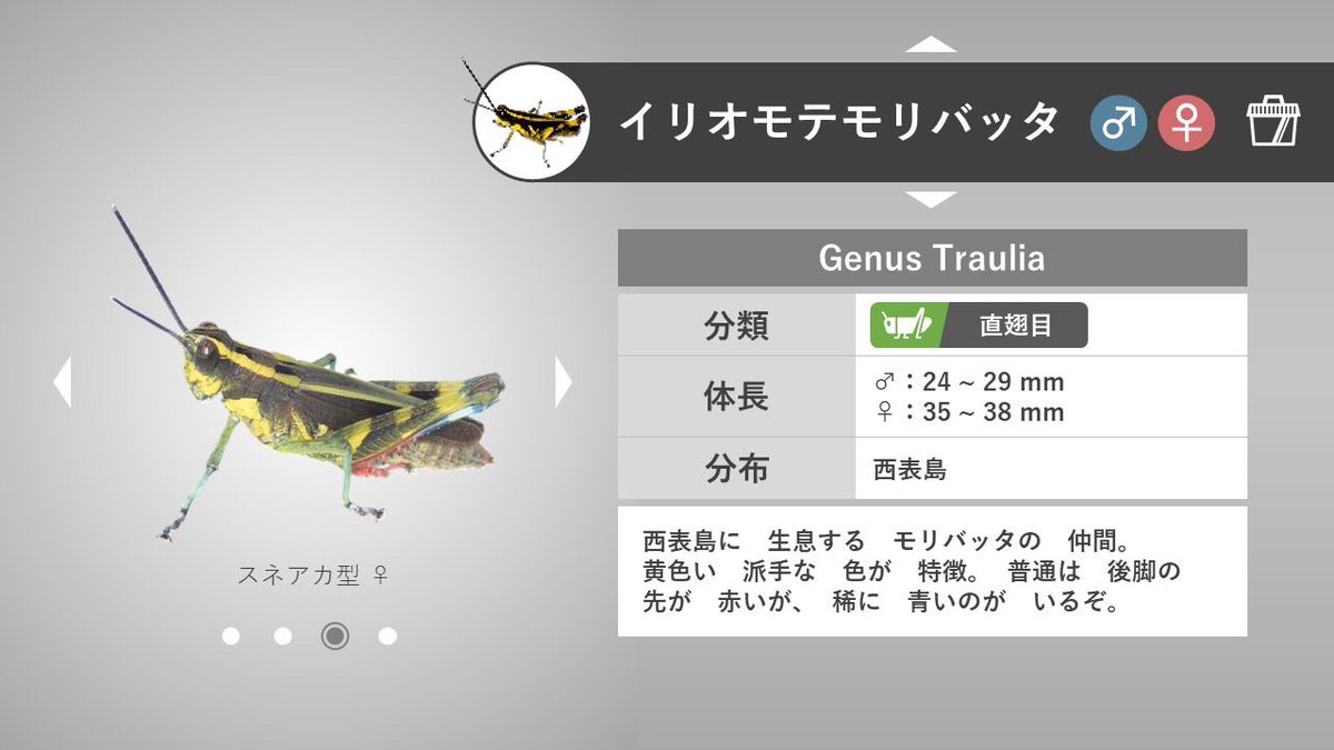 直翅類 Jp 公式 イリオモテモリバッタのスネアオ型についてまとめたり考察をしているうちに 何だかポケモン の色違いみたいだな と思って ついポケモン図鑑風に仕上げてしまいました 1枚目 直翅類 Jp 公式 イリオモテモリバッタのスネアオ型についてまとめたり考察をしているうちに 何だかポケモン の色違いみたいだな と思って ついポケモン図鑑風に仕上げてしまいました 1枚目