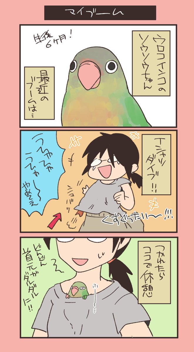 鳥漫画