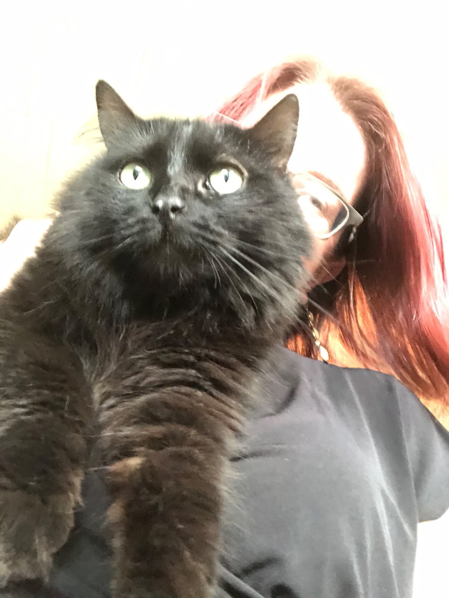 BethOpal's tweet photo. @kaplajk Noble fluff sends support https://t.co/UPLIMys3Ru