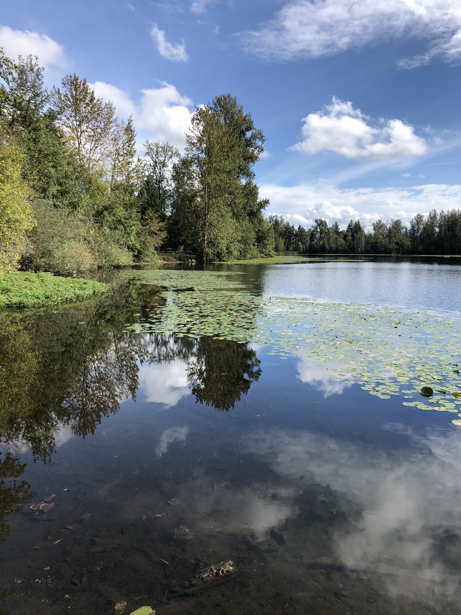 joinnewton's tweet photo. @NEWS1130Weather a shot of Mill Lake from my day off ☀️. And thx for the Abbotsford mention 😂 https://t.co/yhlWUlCj6v