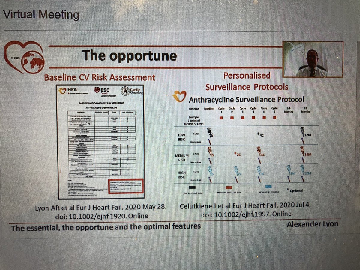 dineshpmcc1's tweet image. #VCOS20 Dr. Alexander Lyon discussing risk stratification in cardiooncology and risk based follow up.