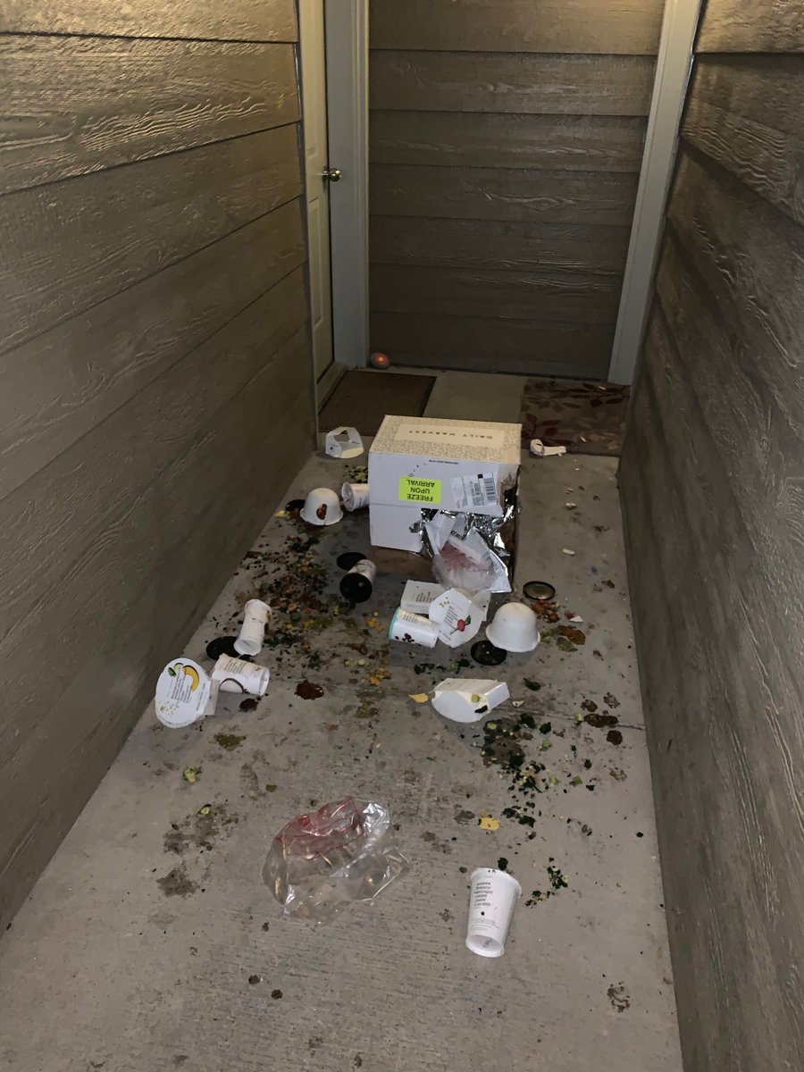 Allie_Welsh's tweet photo. When you can’t wait for your first @DlyHarvest ever and come home to this 😭🐻 #foodfail #thisis2020 https://t.co/wBbfzCmhep