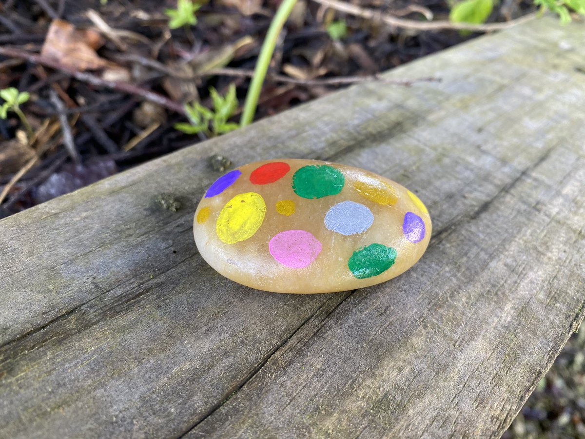 davidsilkstone's tweet photo. Some more stones hidden in @PinewoodsHgt #HarrogateStones #Silkstones #PinewoodsRocks https://t.co/rffxsdiOWZ