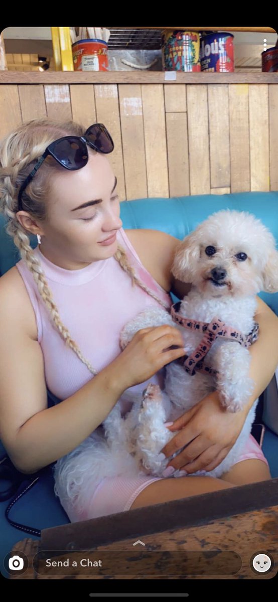 Chloemaexx's tweet photo. Any excuse to tweet my lil bear🥺💗 #PetsofOhPolly https://t.co/A2CU8F7or7