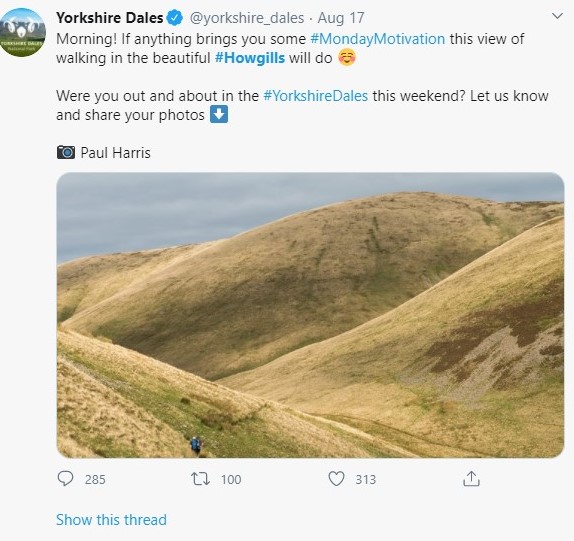 Recently, a well-meaning national park worker posted a photo of The Howgills. Got ten times the usual "likes" but also caused a PILE-ON due to the overgrazed, bare land it showed. No point repeating it.Instead, I bought a book and went for a look.a THREAD: LOVELY / DESOLATE ?