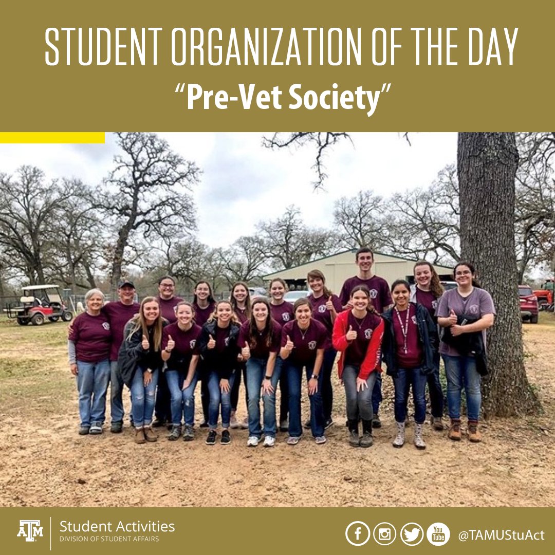 TAMU Pre-Vet Society provide an opportunity to help students get into vet school, and offer a supportive, social, academic, and recreational environment act as a liaison between pre-veterinary students and the College of Vet Medicine. #OrgoftheDay #AgsInvolved