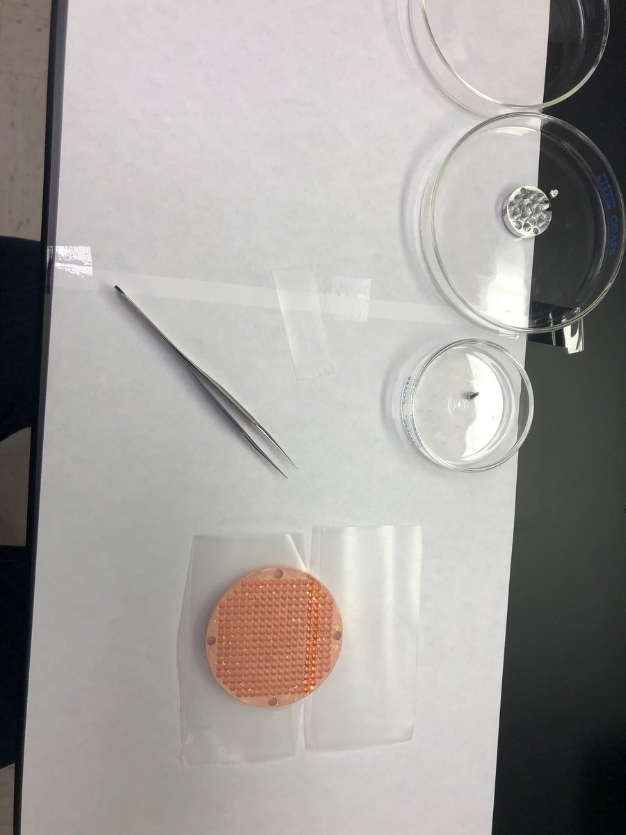 emilyemixon's tweet photo. The world might feel like it is falling apart this year, but at least there is calm in the tiny things. Feeling glad to be back into the rhythm of lab work @uwgeoscience. Both groundmass and single crystal analyses on deck for 40Ar/39Ar! #geochronology #wiscarlab #geobadgers https://t.co/KyzxtFnZUG