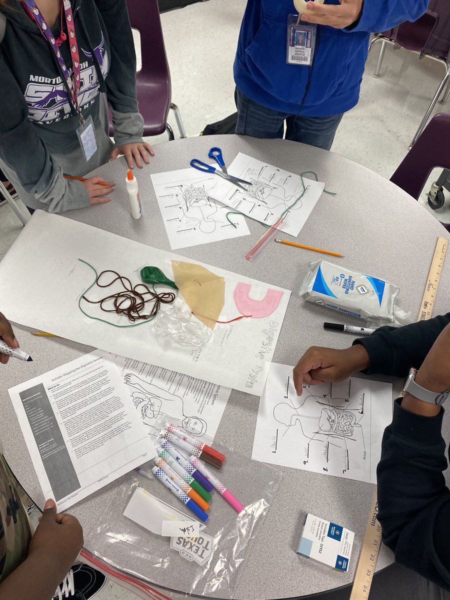 Maverick_Chef's tweet photo. Nutrition class learning about digestion. #mrhs https://t.co/cMtjifjGEh
