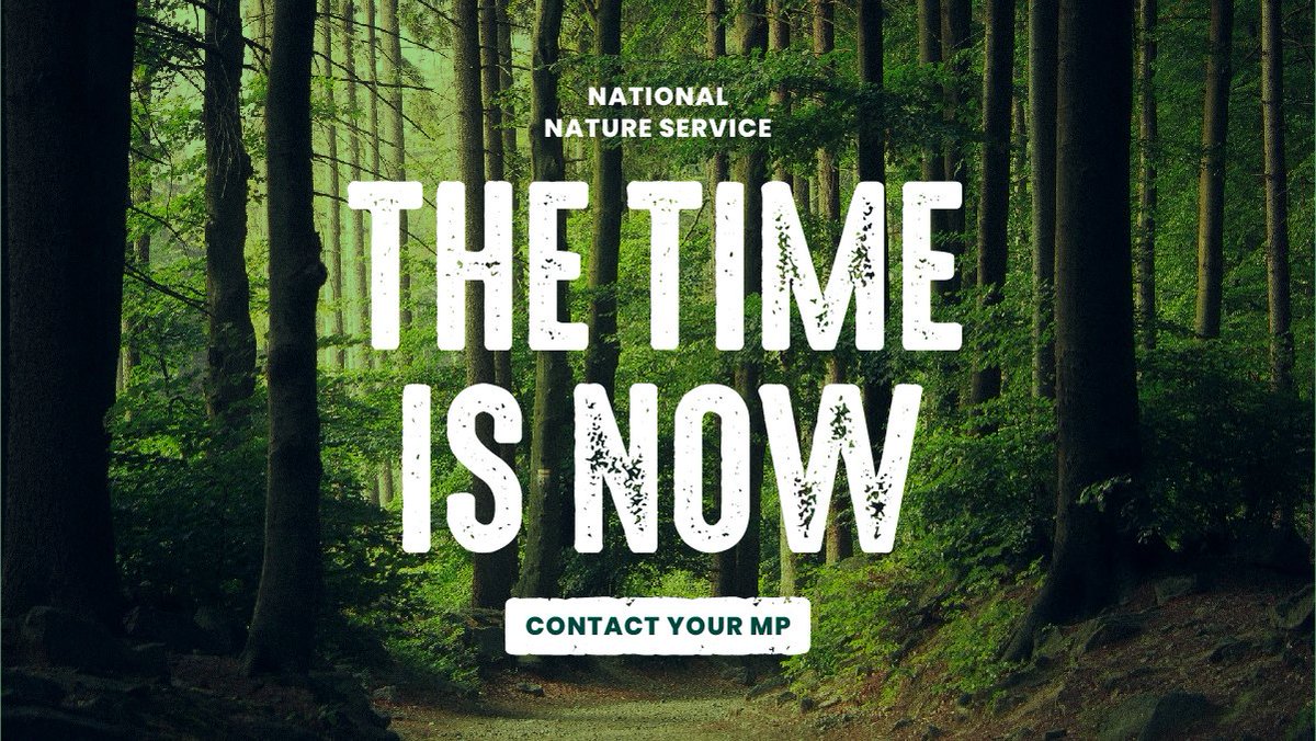 A #NationalNatureService would : create 15k jobs in 2021 , plant 4.5 million+ trees , capture 100k tonnes of carbon &amp; create / restore 200k hectares of at risk wildlife habitat . nationalnatureservice.org