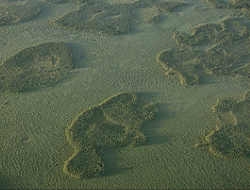 Here is another image of the same type of patterning in peatlands. Can we please take a moment to reflect on the incredible beauty of boreal landscapes? Again, these are bog islands within a larger fen. The bogs are forested - the surface is raised above the wetter fens. 4/