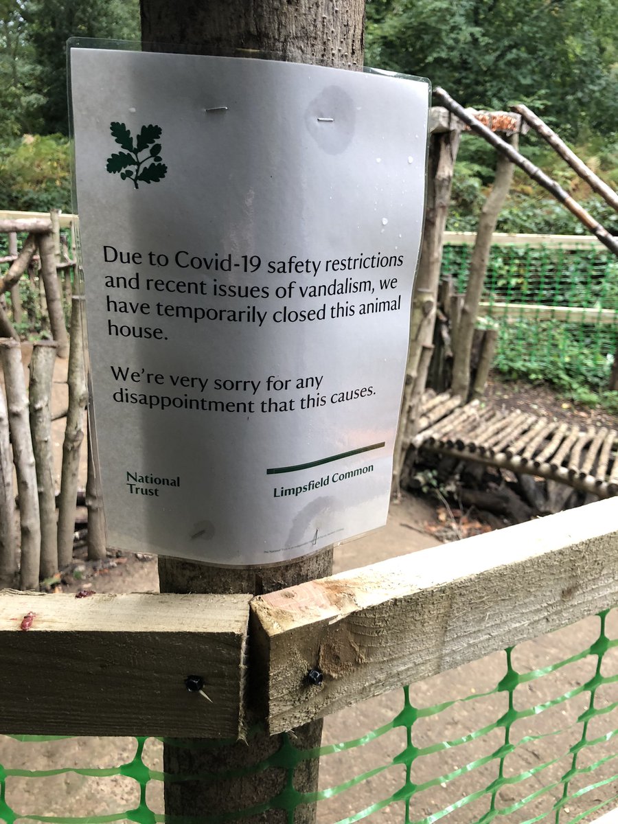 Stephen Aviss tweet media