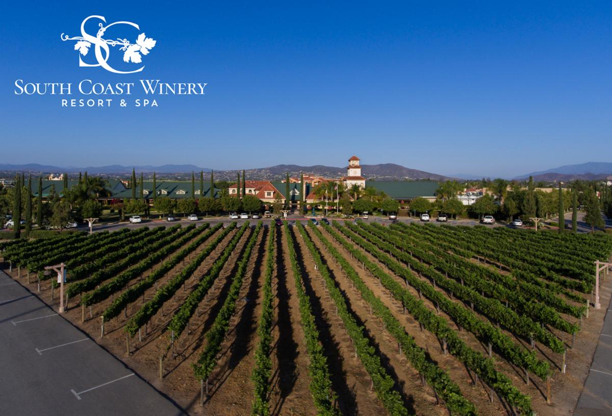 Phelps Media tweet media