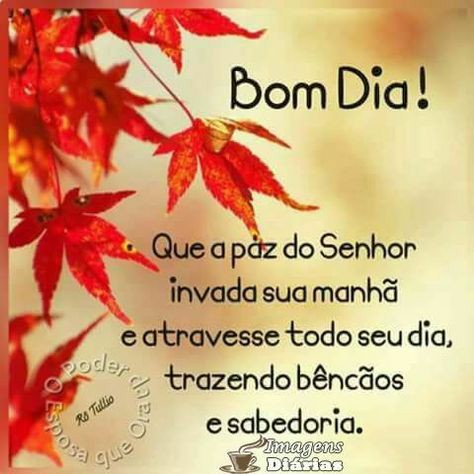 Edson #BETALAB#✌😎 (@edsonveigaarau2) on Twitter photo 