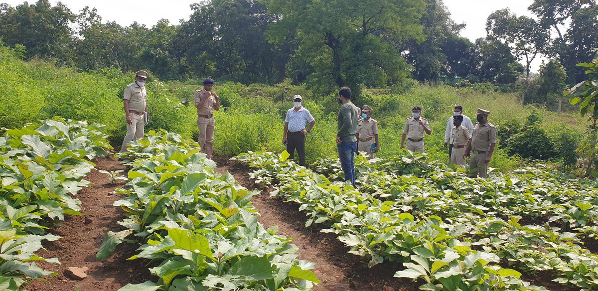 Anilpatel tweet media