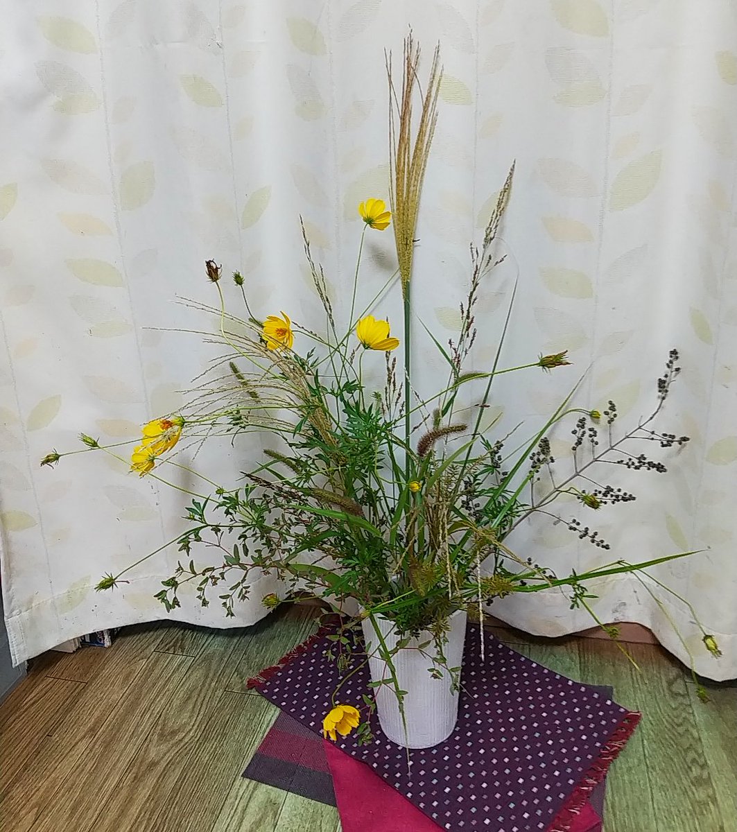 本多るみ 大 ススキ パニカム 黄花コスモス ウツギの実 猫じゃらし カヤツリグサ 小 猫じゃらし ニラ 野菜 カヤツリグサ ツルウメモドキ少々 黄花コスモスだけ 10年前 位にタネまいた名残り あとは勝手に生えてきた いわゆる雑草