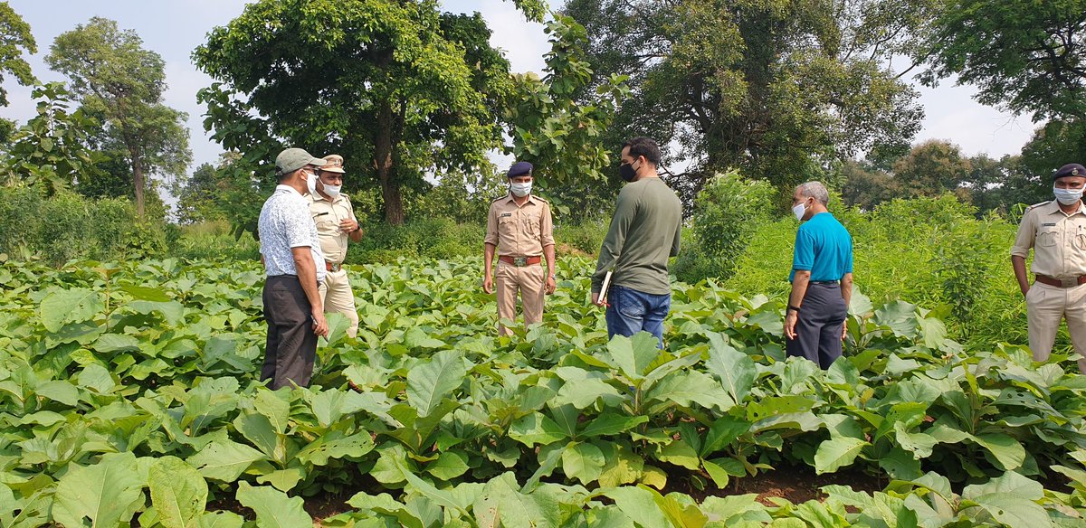 Anilpatel tweet media