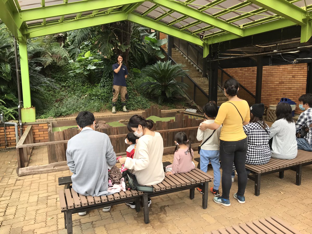 仙台eco動物海洋専門学校 A Twitter Izooで活躍する卒業生に会って来たワン 好きなことを仕事にできてることが１番のやりがいって言ってたワン Izoo 動物園 飼育員 専門学校 イグアナ カメ 亀 爬虫類