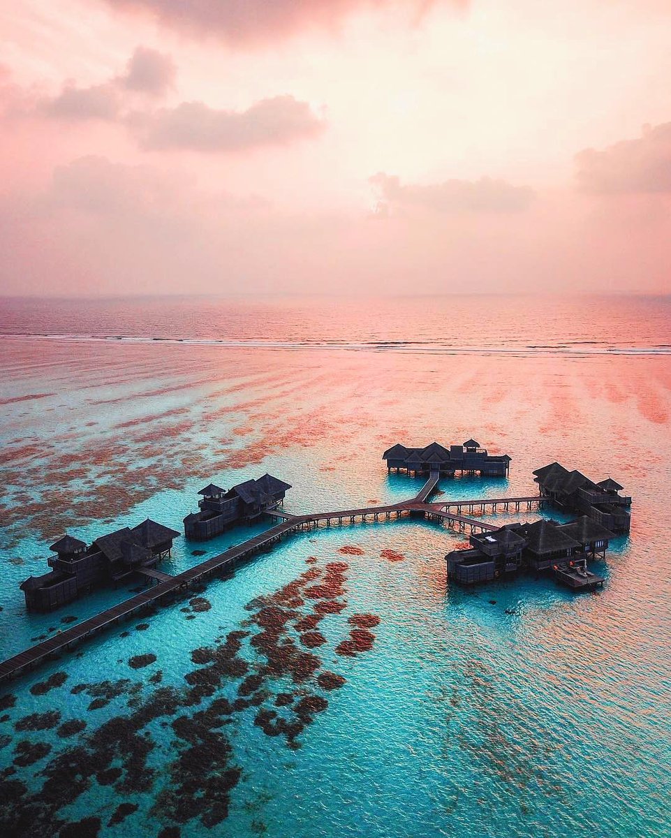 ShawnMohsin's tweet photo. The Maldives 🇲🇻 https://t.co/TAXHtpY50U