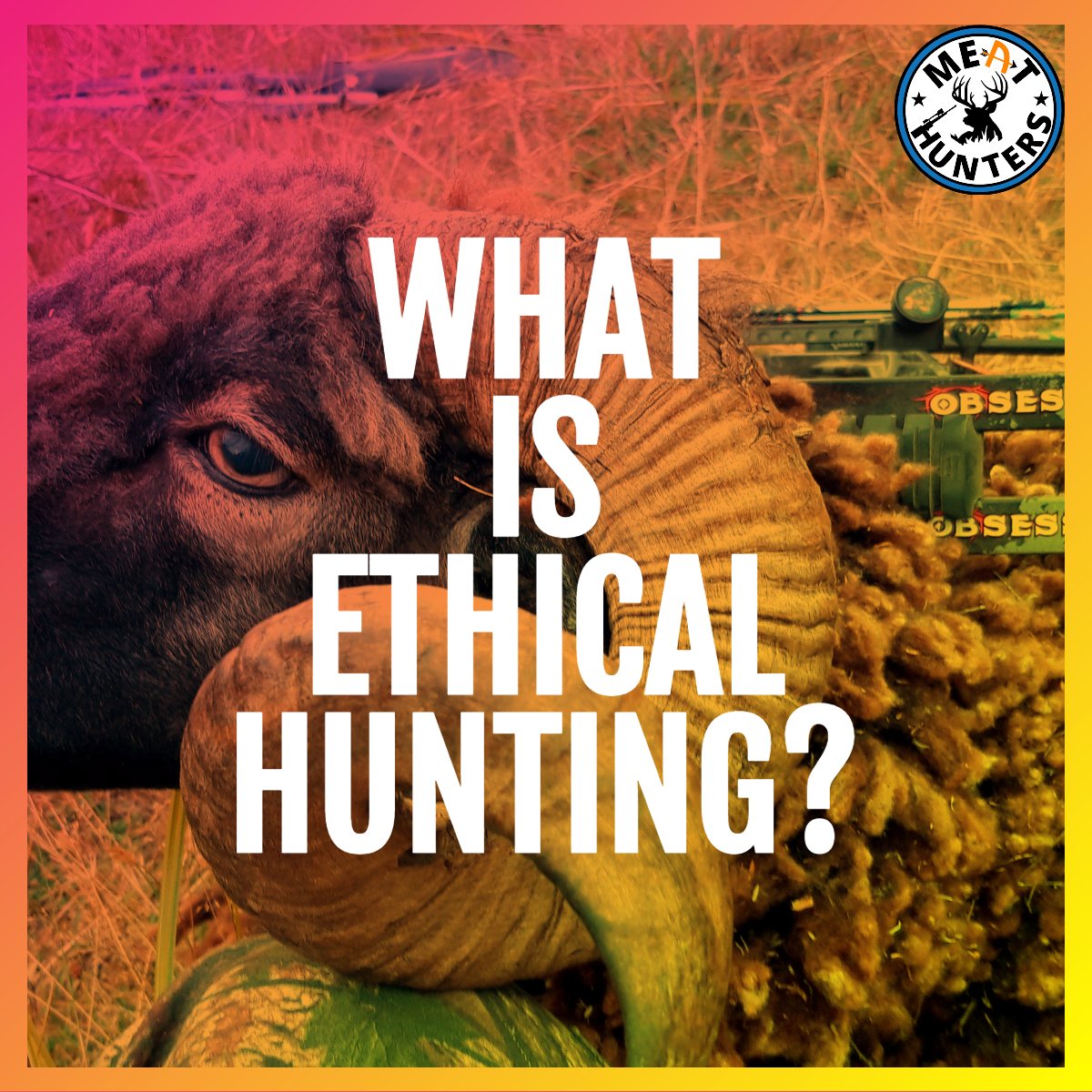 MeatHunters's tweet image. [Podcast #2] - What is Ethical Hunting?

Join us tonight for our second ever podcast, we tackle a slightly sticky conversation and want to discuss it openly and honestly!

8pm CEST, 2pmEST. youtube.com/meathunters
@TheTreeKiwi @Flinter_ @cotw