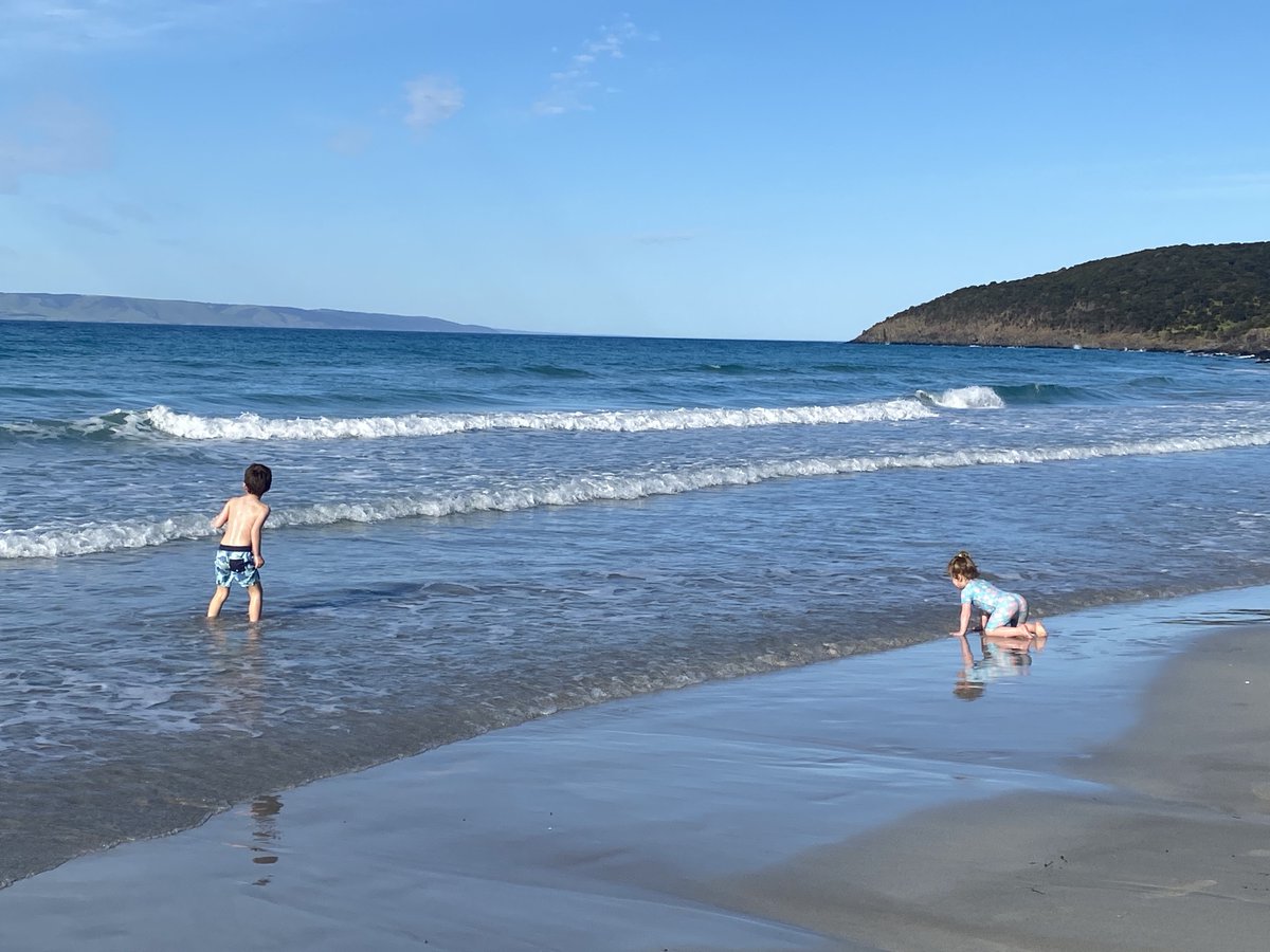 drhumki's tweet photo. Wonderful being back on #kangarooisland - still beautiful, still has so much to offer. We've loved our time at #penneshaw, #vivonnebay and tomorrow #emubay. Take some time to head over, and #bookthemout! https://t.co/W0o6IczKEZ