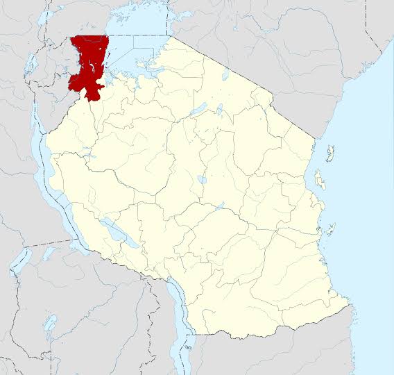 Global_Folder's tweet photo. Ancient African Civilization (Haya)

#Thread
By 100 A.D. the Haya people of now Tanzania began making steel  Elders were usually in charge of making the metal and used mud and grass to produce carbon. The carbon was then used with iron over an open hearth furnace to produce steel https://t.co/xWzH6BoE9K