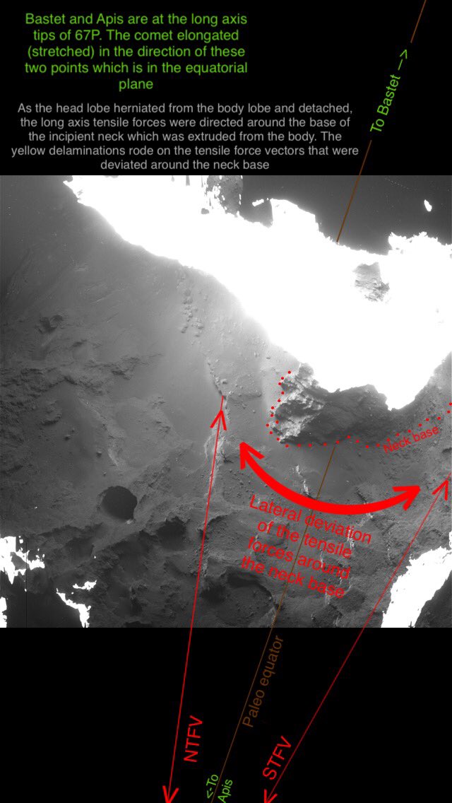 1-Thread: diversion of long axis forces around Anuket neck #67P stretched along its long axis as a single body before splitting to 2 lobesAs the neck herniated, the long axis forces were diverted around the end of the incipient neck i.e. where Anuket was extruded from the body