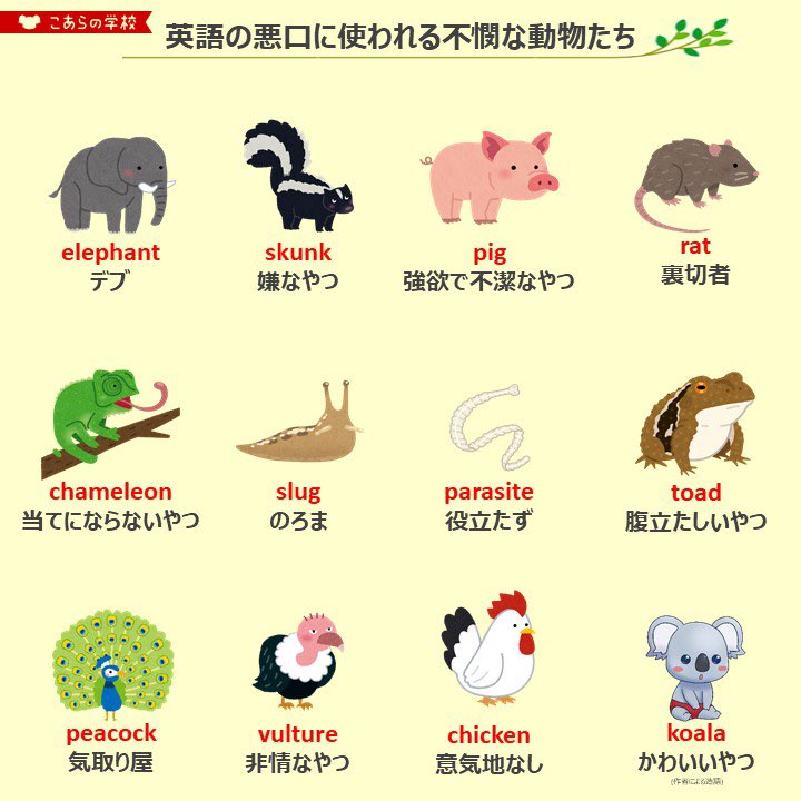 こあたん こあらの学校 على تويتر 英語の悪口に使われる不憫な動物たち こあたん こあらの学校 على تويتر 英語の悪口に使われる不憫な動物たち