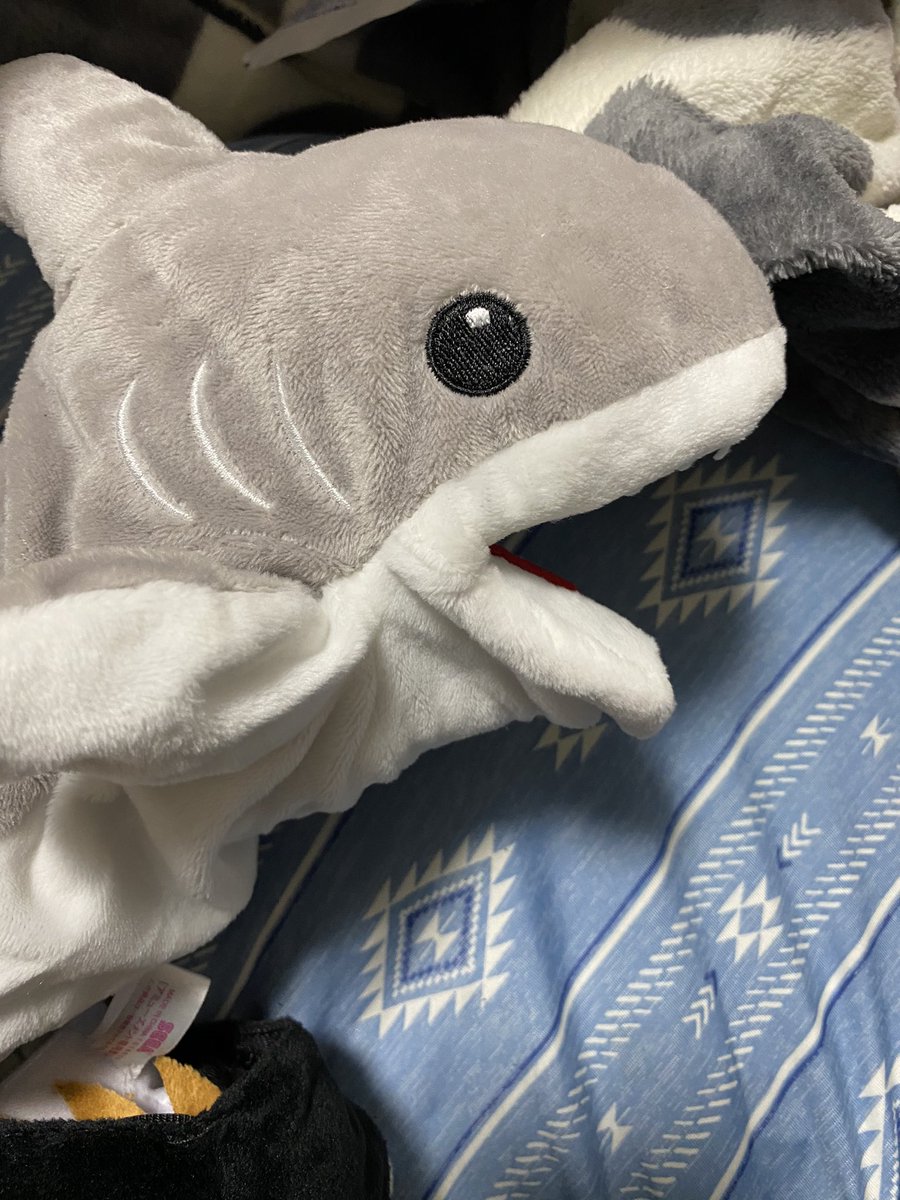 浅葱 めっちゃ善子ちゃんセットなんだけど残念ながら小さい寝そべりは花丸ちゃんしかないの W でも可愛い サメはパペットマペット 浅葱 めっちゃ善子ちゃんセットなんだけど残念ながら小さい寝そべりは花丸ちゃんしかないの W でも可愛い サメはパペットマペット