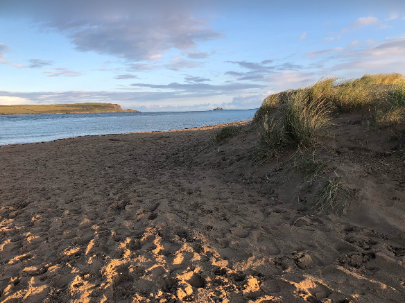 I have been thinking about winter, work and how to adapt for the coming months. For me early morning dog walks as a time to reflect are so important and real conversations with people! A long winter, but with some exciting work and time outside I hope it will be a good one!