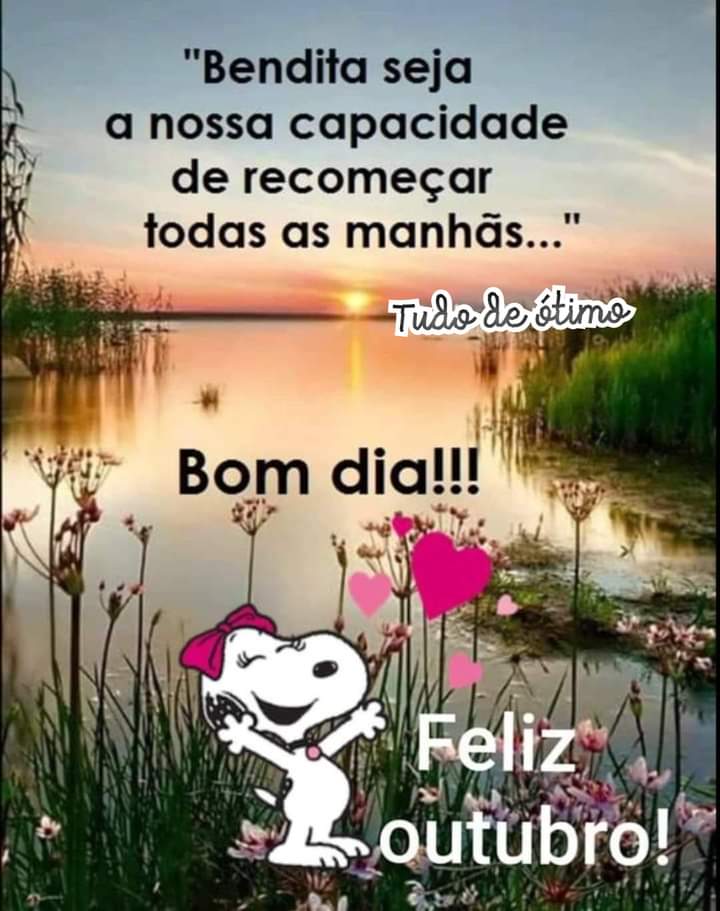 <a href="/terra_ze/">Zé da Terra</a>