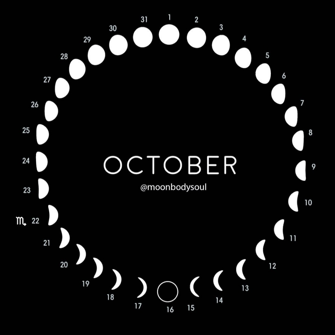 TwistedKittyArt's tweet photo. I can't believe October is here already! This strange year is going too quickly. Its also the full moon today. 16 days until my youngest is 2. Eek.
#moonchart #moon #fullmoon #moongazer #october #anothermonth #witch #pagan #wicca https://t.co/KRyDMGRU1c