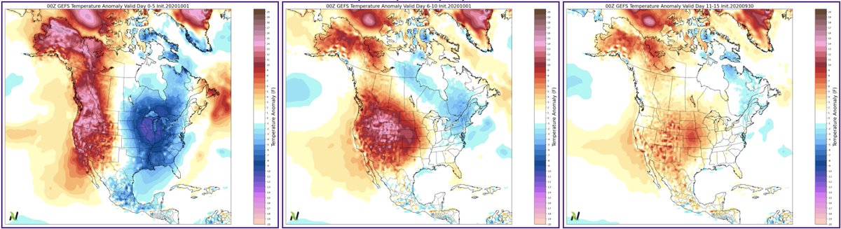 Eric Snodgrass tweet media