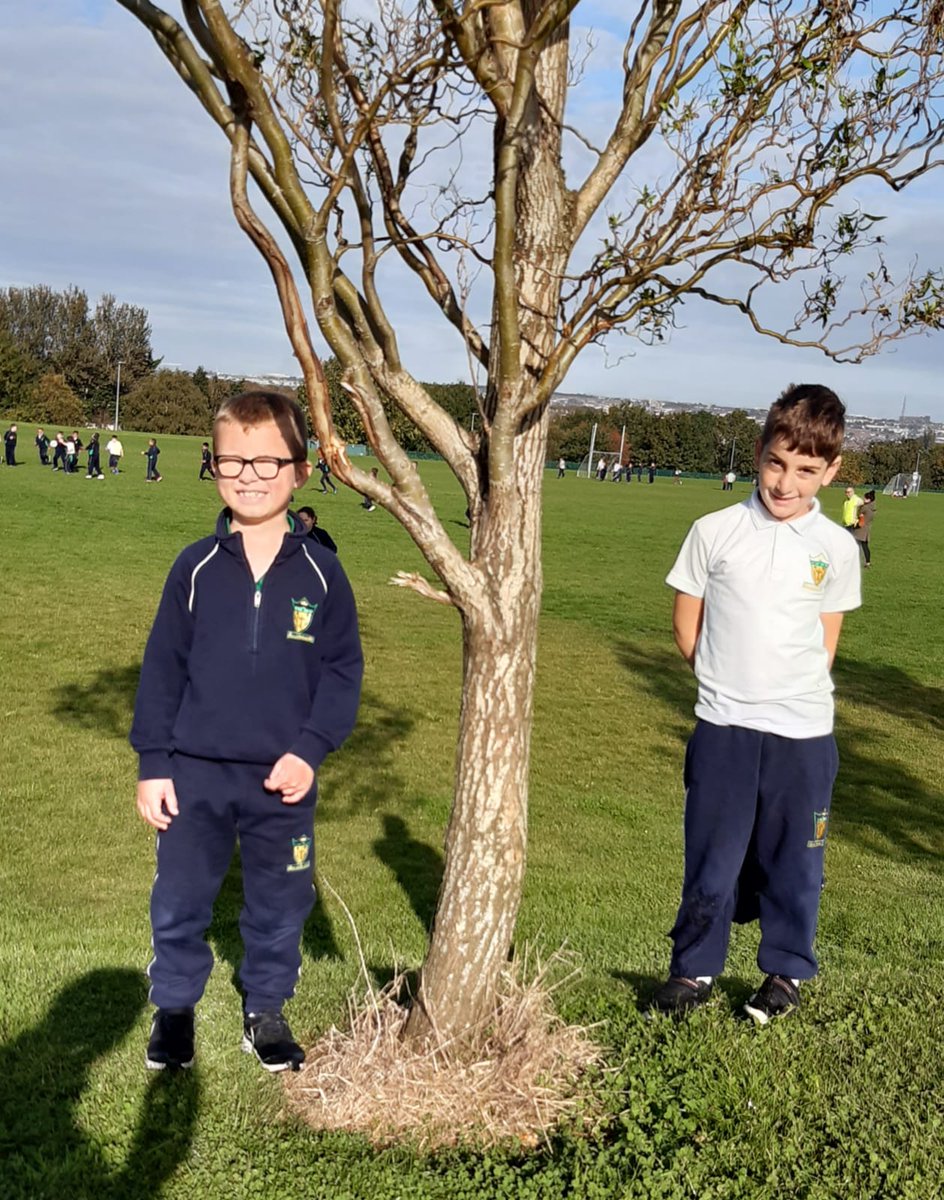 BunscoilC's tweet photo. @GetIreWalking @ActiveFlag @HealthyIreland Our Annual School Walk #WalkYourArea #BeActive #ActiveSchoolWalkway @TramoreValPark https://t.co/pijscuS4aY