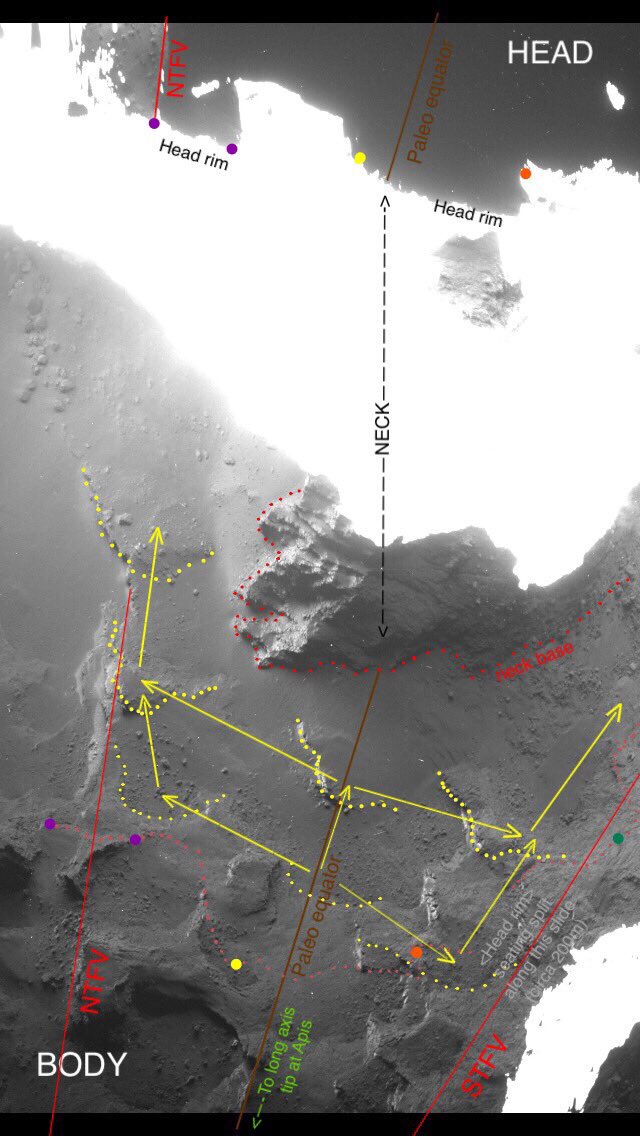 6- same photos as in last tweet: the head rim is tilted up towards us slightly. This also accounts for yellow looking more displaced back on the body. Needless to say, everything in this thread is based on study of 100s of photos, not just this one. END (for now) #67P