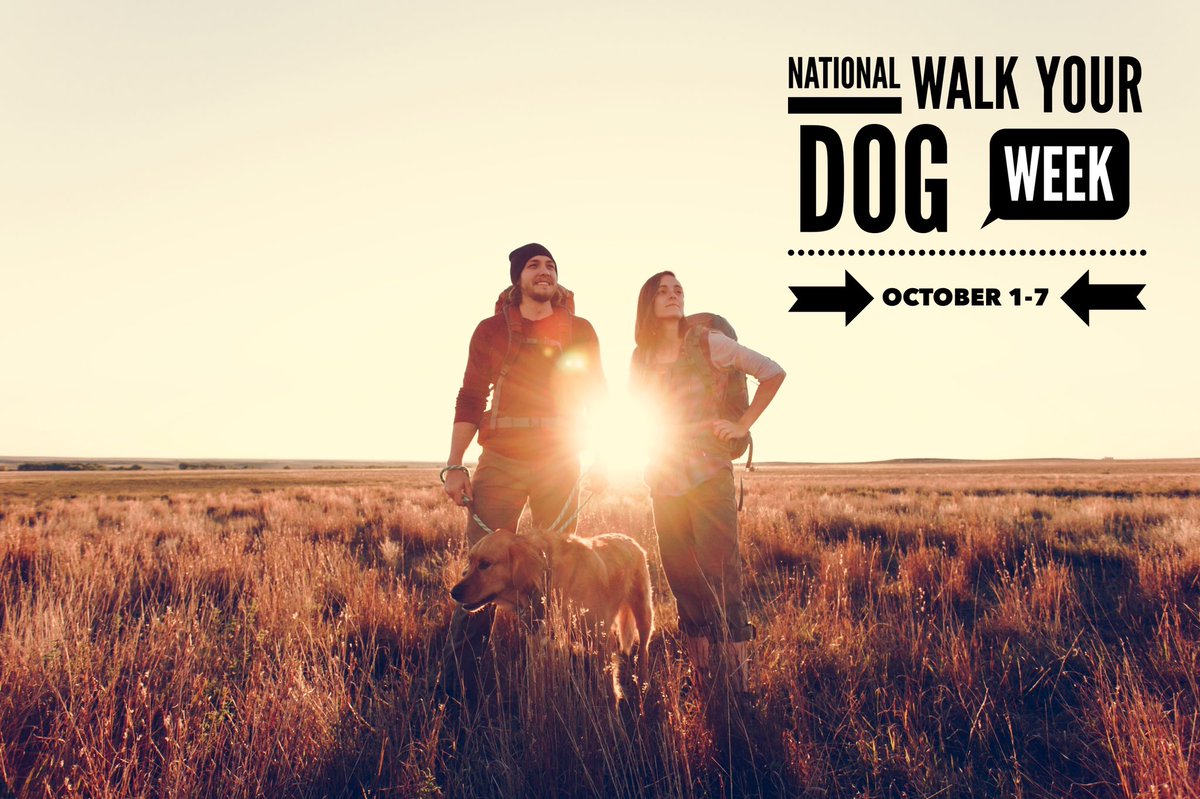 WalkYourDogWeek's tweet photo. Happy first day of #NationalWalkYourDogWeek! Get outside! #FriendsWalkTogether #WalkYourDogWeek 🐾🐾🐾🐾🐾 https://t.co/jsVT4s0QS9