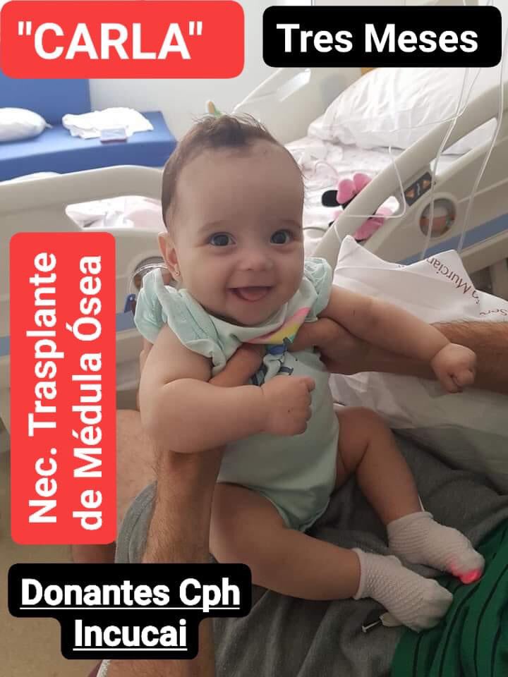 Nancy_nancy42's tweet photo. Por favor difundir!!! CARLA tiene 3 meses.
Es de El Mirador, San Javier. 
Esta pequeña Guerrera está diagnosticada  de "LEUCEMIA AGUDA LINFOBLASTICA "B"  de alto riesgo".
Necesita Urgente un Trasplante de Médula Ósea!!!! https://t.co/tnAZoZ2352