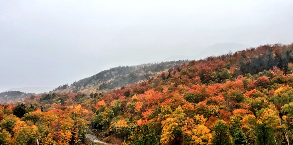 WXKnapper's tweet photo. Pinkham Notch at @theautoroad yesterday morning as we headed up to work (@MWObs). Winds and rain knocked some leaves down but it still had plenty of color left when we left it. It is past at treeline and starting to pass down to about 3500ft.
#nh #fallfoliage #nhfall #foliage https://t.co/UDEkoYRrA7