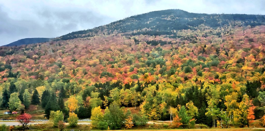 WXKnapper's tweet photo. Pinkham Notch at @theautoroad yesterday morning as we headed up to work (@MWObs). Winds and rain knocked some leaves down but it still had plenty of color left when we left it. It is past at treeline and starting to pass down to about 3500ft.
#nh #fallfoliage #nhfall #foliage https://t.co/UDEkoYRrA7