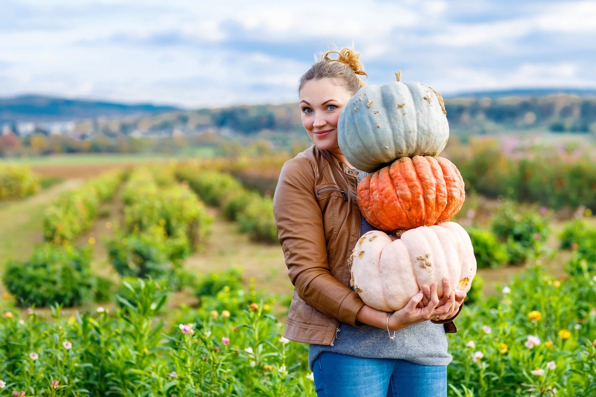 October's Featured Scholarships total more than $12,000 in #financialaid. 🎃Harvest time🎃 get your hands on these scholarships ASAP! They are EASY to apply for.  ow.ly/uxBx50BDi7d
#pumpkin #scholarships