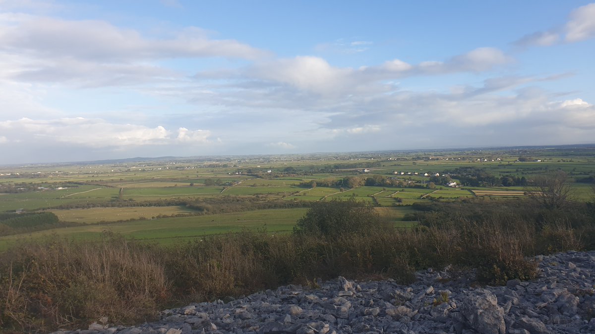 Fields like these, currently used for livestock, become locally-driven nature reserves, drawing down carbon, regenerating local biodiversity, and providing better access to nature and better health for locals.