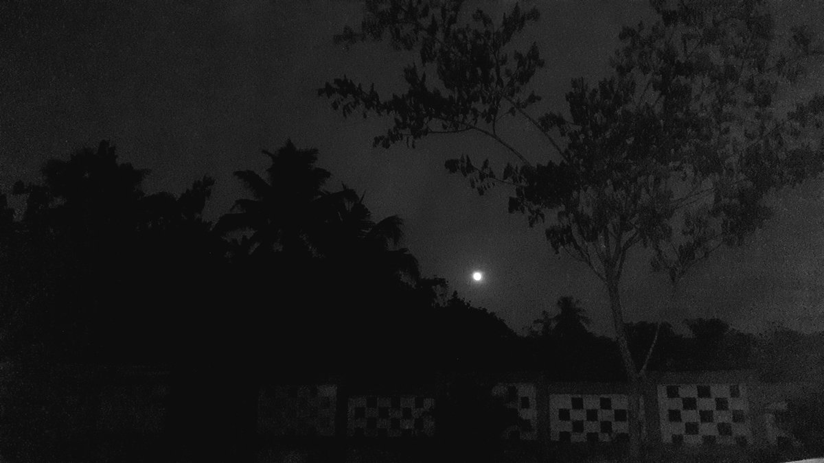 sandy romualdus tweet media