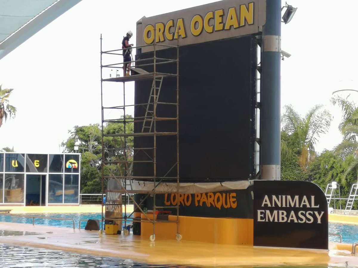 magikled's tweet photo. 🚩 Limpieza y mantenimiento de la #PantallaLED #OrcaOcean en #LoroParque con nuestro #EquipoTécnico.

Las limpiezas periódicas ayudan a prolongar la vida útil de su Pantalla LED y evitar futuras averías. 🔧

#MagikPantallasLED #MagikTechnology #LEDScreen #LED #Limpieza https://t.co/osaxEKVSLO