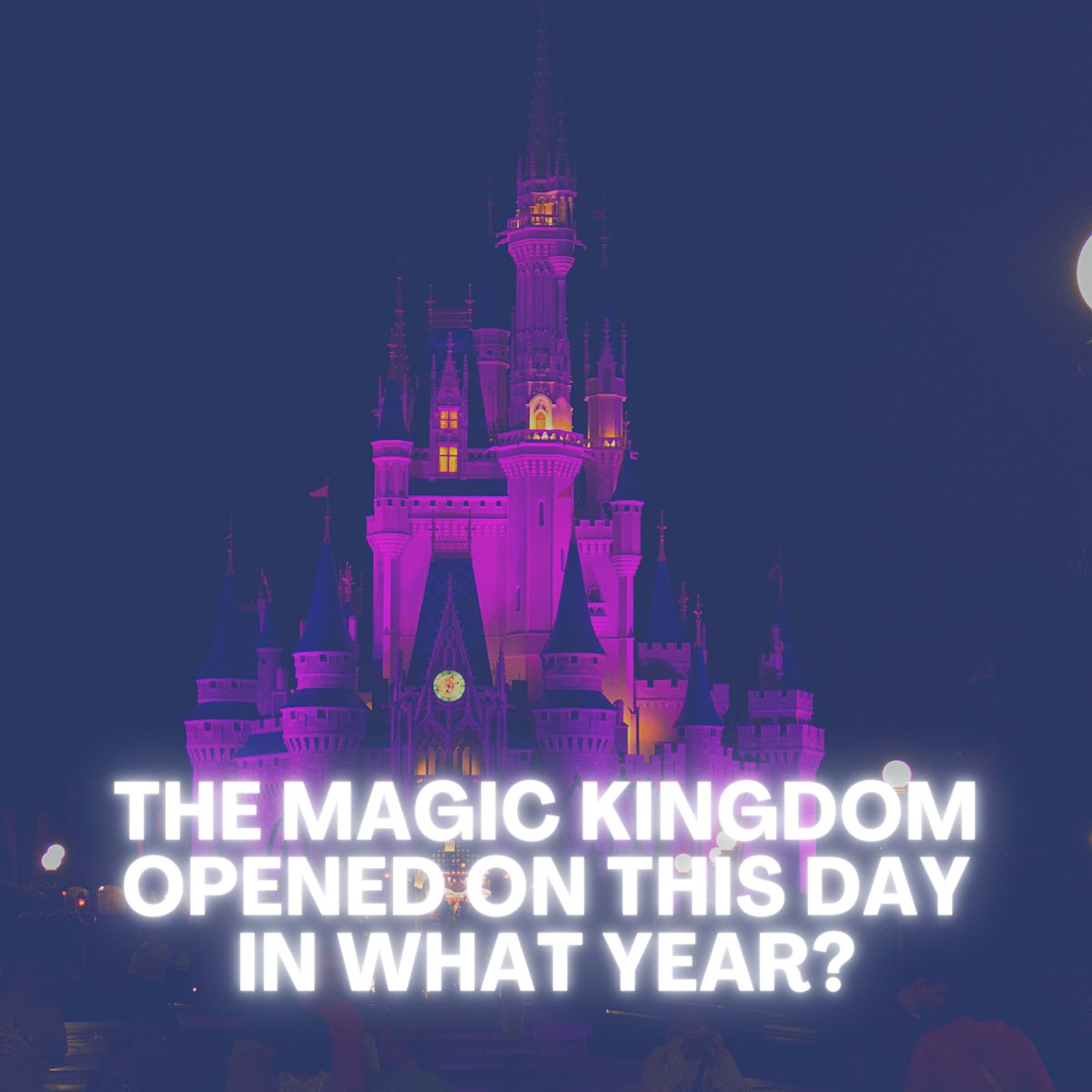 Hint - next year is the big 50th anniversary! #MagicKingdom