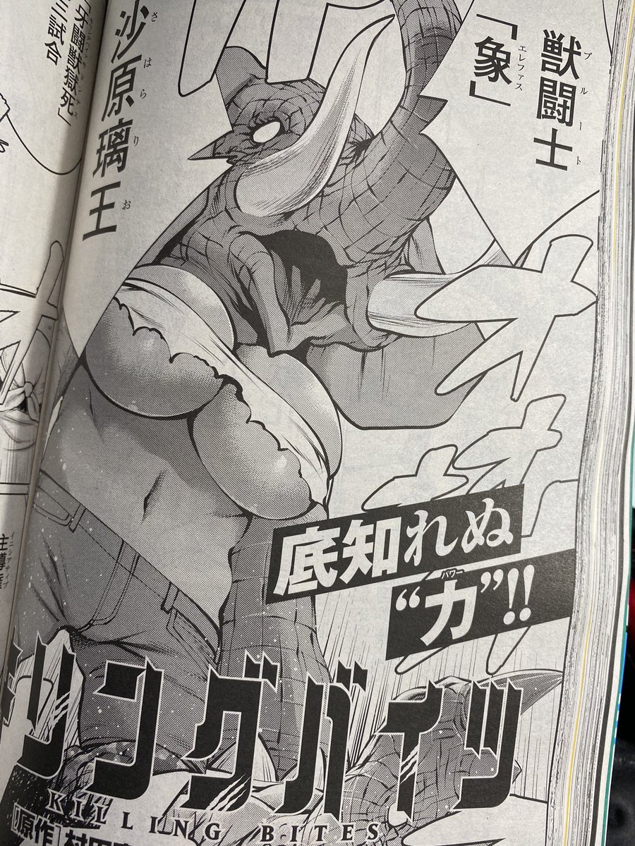 本日は月刊ヒーローズ11月号の発売日です。「ヒメノスピア」「キリングバイツ」最新話も載っております。ヒメノスピア単行本第7巻は10月5日発売です。どうぞよろしくお願いします。パオオオオオオ 