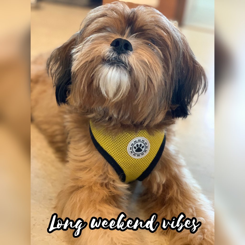 It's bliss. ✨⚡️❤️