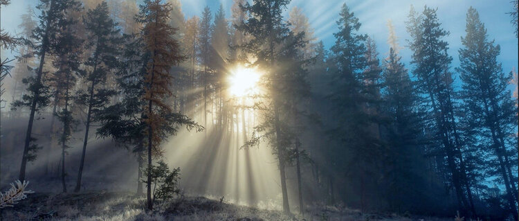 Interested in Evergreen IT optimisation? Join our webinar on the 13th Oct to find more... migrationstudio.com/events/2020/6/…