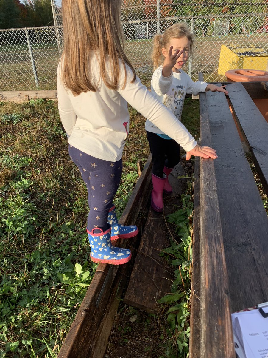 MsCourteny's tweet photo. The grass is lava! #imagination #creativeplay #wellbeing #languageandcommunucation #confident #curious #capable #nspreprimary #hrcepreprimary #ece #nsece https://t.co/lrfhHA46xx