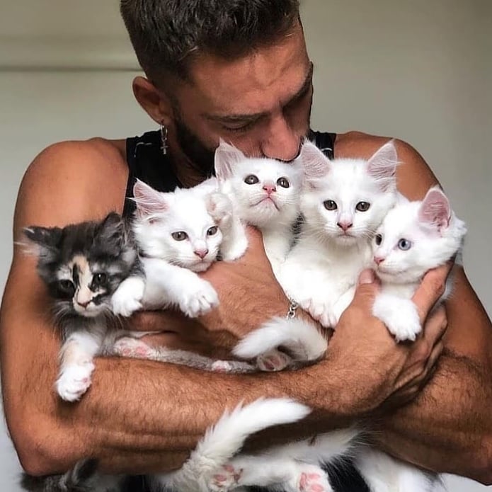 CatsFanus's tweet photo. My children ๐คฉ๐คฉ๐คฉ
#funnycats #cutecats #sadcats #angrycats #catsofusa #CatsOfTwitter #CatsOnTwitter https://t.co/2SFJdvwnw8